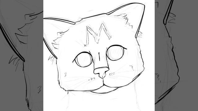 Рисую кота #art #спидпэинт #арт #drawing #cat #animal #рисунок