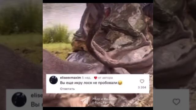 Дикий Олень