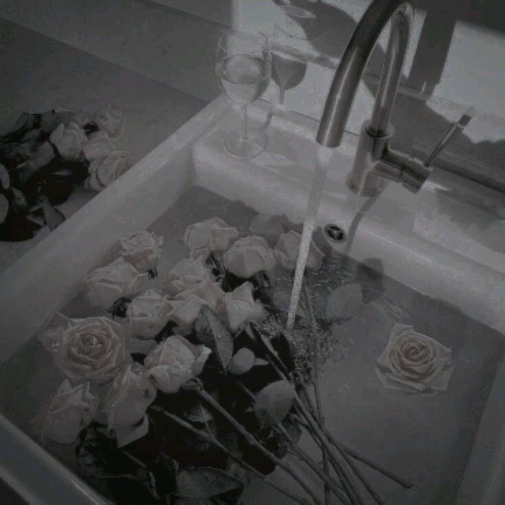 ✧общение✧