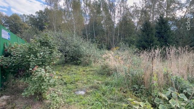 З/у с к.н.50:28:0070232:538, расположенный по адресу: МО, г.о. Домодедово, д. Шишкино