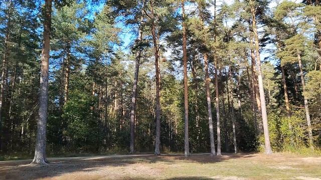 17-09-2025В траве сидел кузнечик