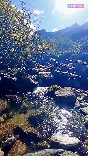 Горная река Архыза. Релакс