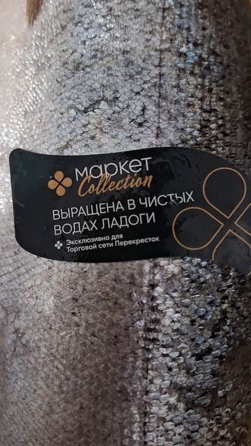 Суп из форели