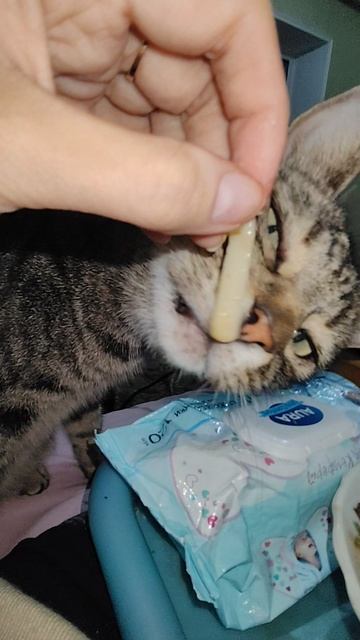 Пришёл