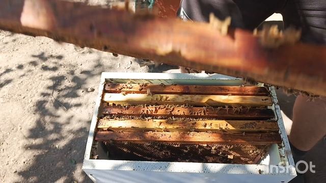 Осмотр поздних отводков после стимуляции.