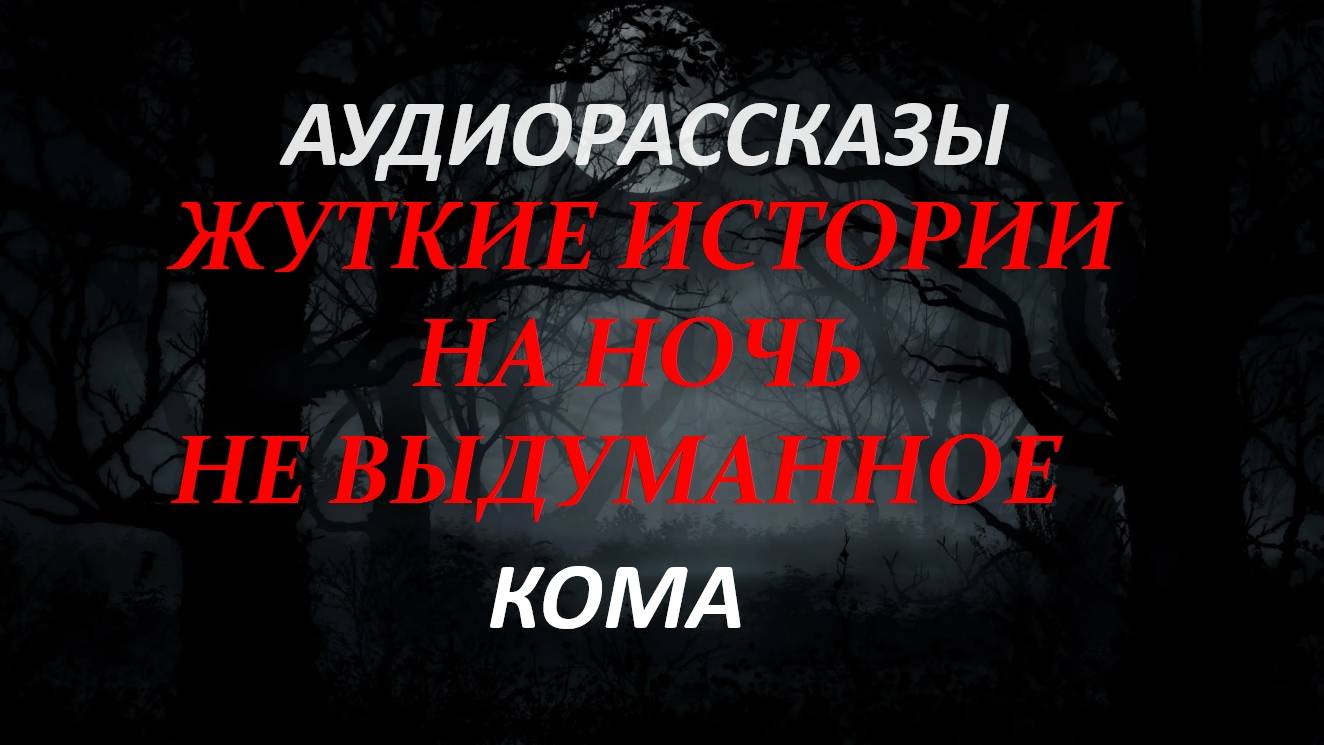 СТРАШНЫЕ РАССКАЗЫ НА НОЧЬ-КОМА
