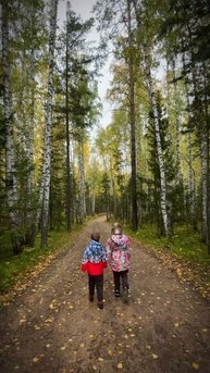 Осень в лесу