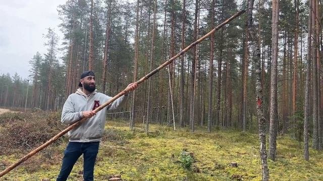 Палка-Толкалка в арбористике