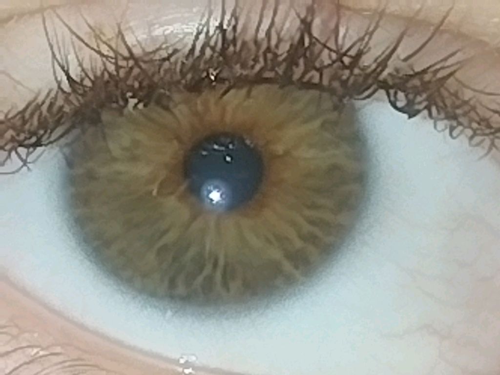 кареглазая