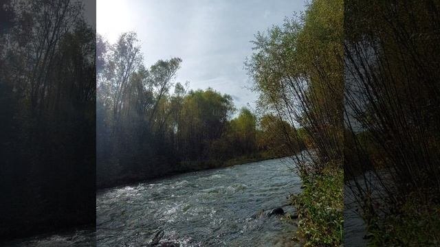 Рейки на Алтае, сентябрь 2025