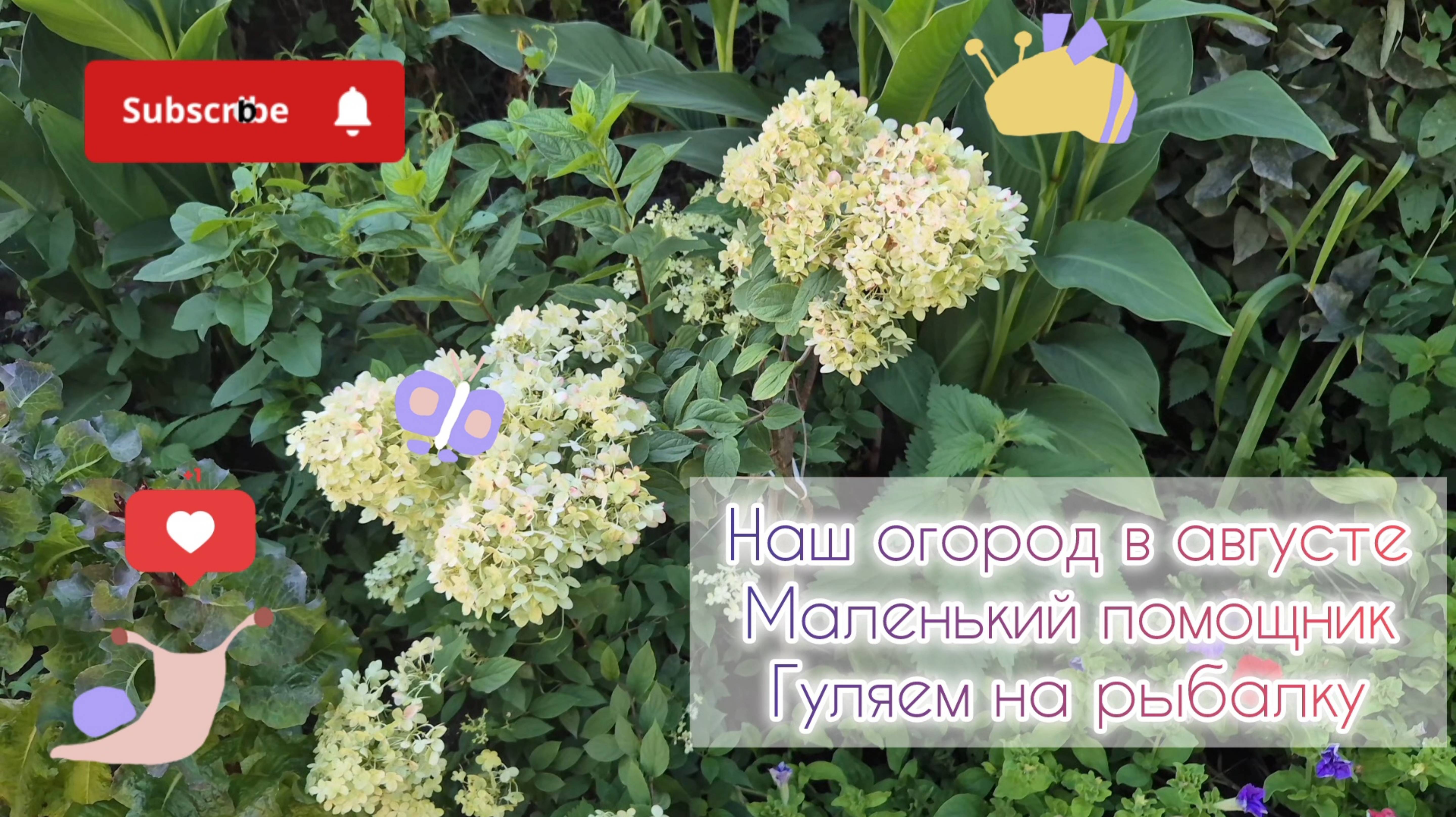 Наш огород в августе🌻Маленький помощник🧒Гуляем на рыбалку🐠