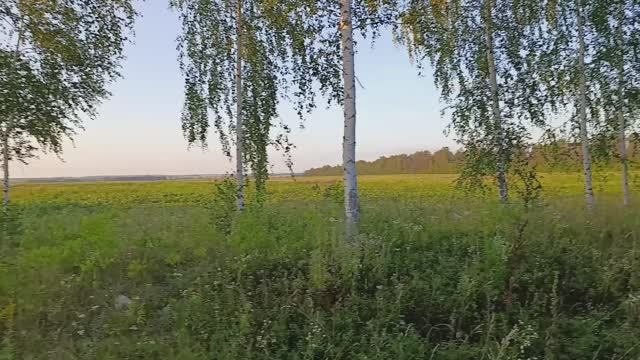 Мое ты чудо...