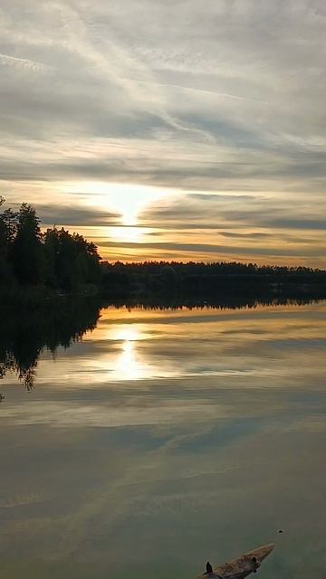 🍂Тёплые сентябрьские деньки🍁Подмосковье 🍂