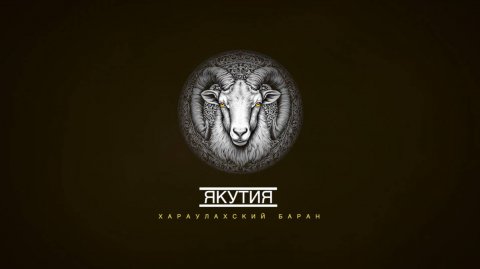 Трофейная охота Якутия. Хараулахский баран.