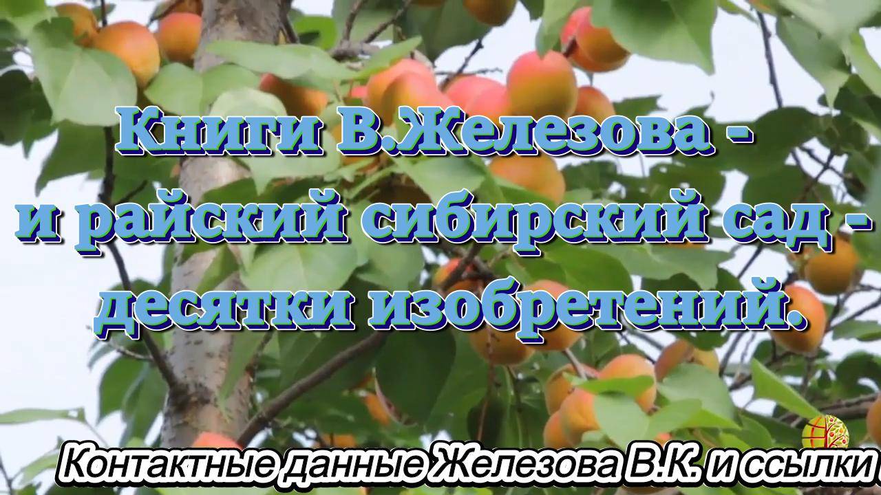 Книги В.Железова - и райский сибирский сад- десятки изобретений.