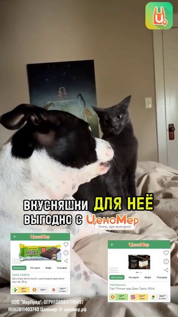 Забавные