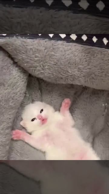 - Трудная была неделя! - Но сейчас только среда! - Я: