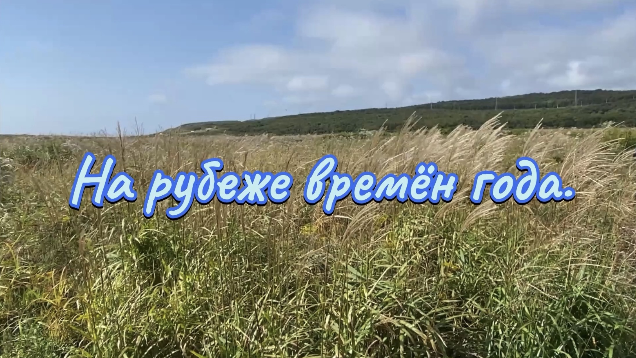 Влог. Рецепт: «Кукурузная лепешка». На рубеже времён года. 17 сентября 2025 г.