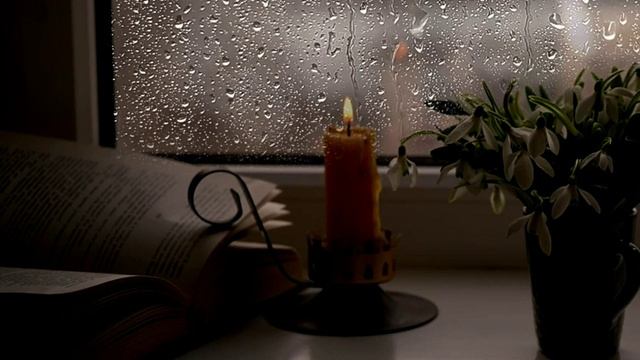 Туманы и дожди... - Владимир Мещеряков(Г.Ляшенко - Шилкина)