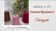 Зрители в проекте "Осенняя Гармония 2". Старт. #богинипряжи #осенняягармония #вязание