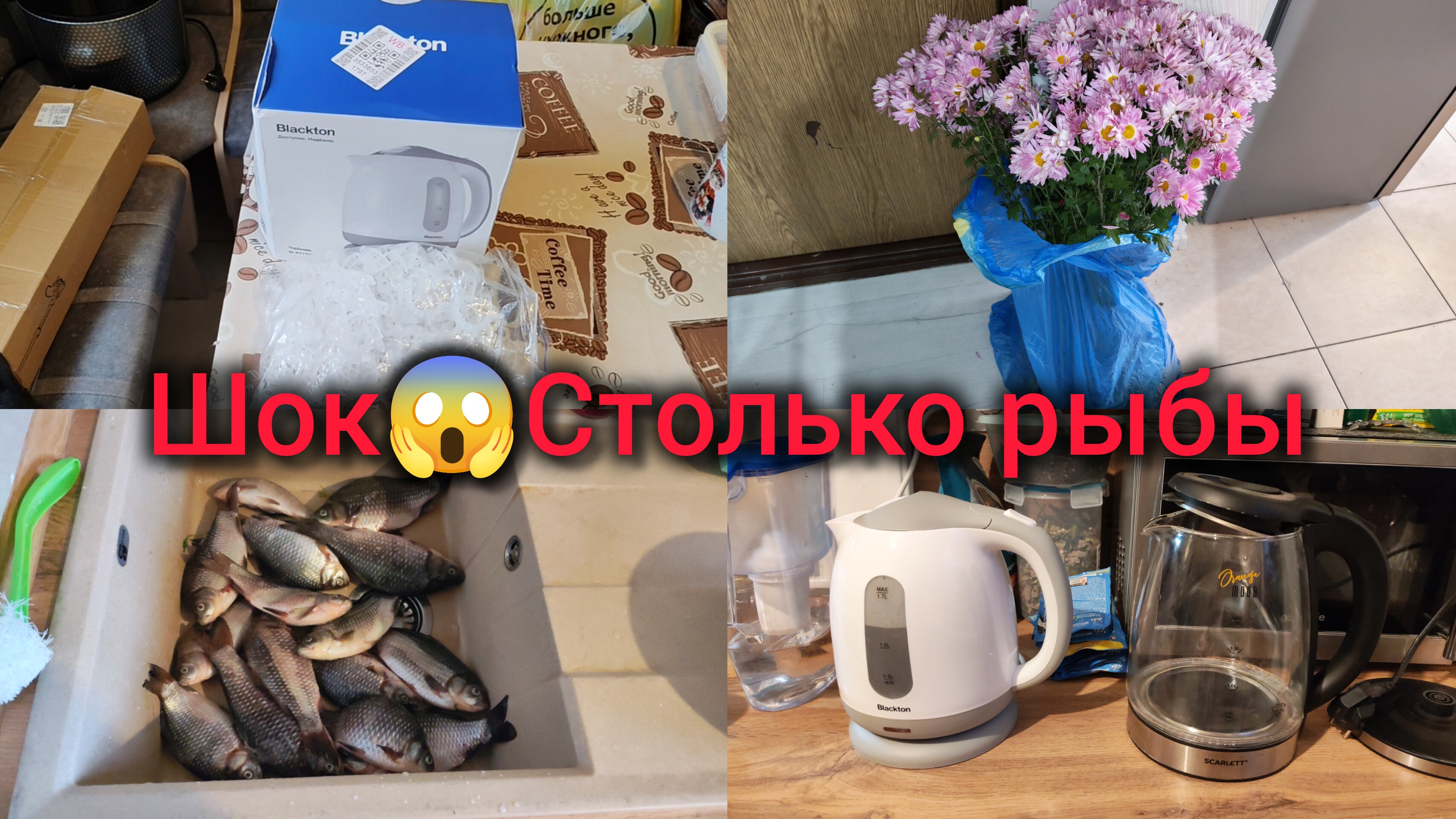 Распаковка с ВБ. Столько рыбы много. Купила Хризантемы.