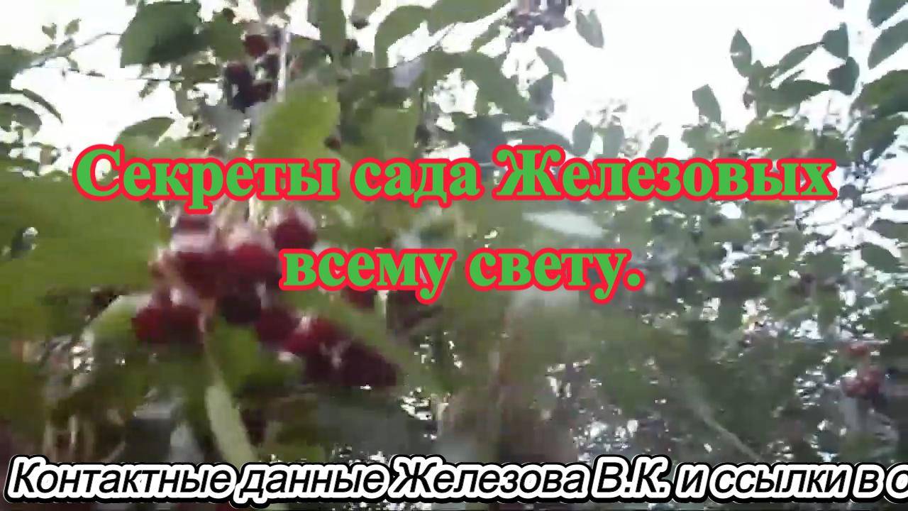 Секреты сада Железовых всему свету.