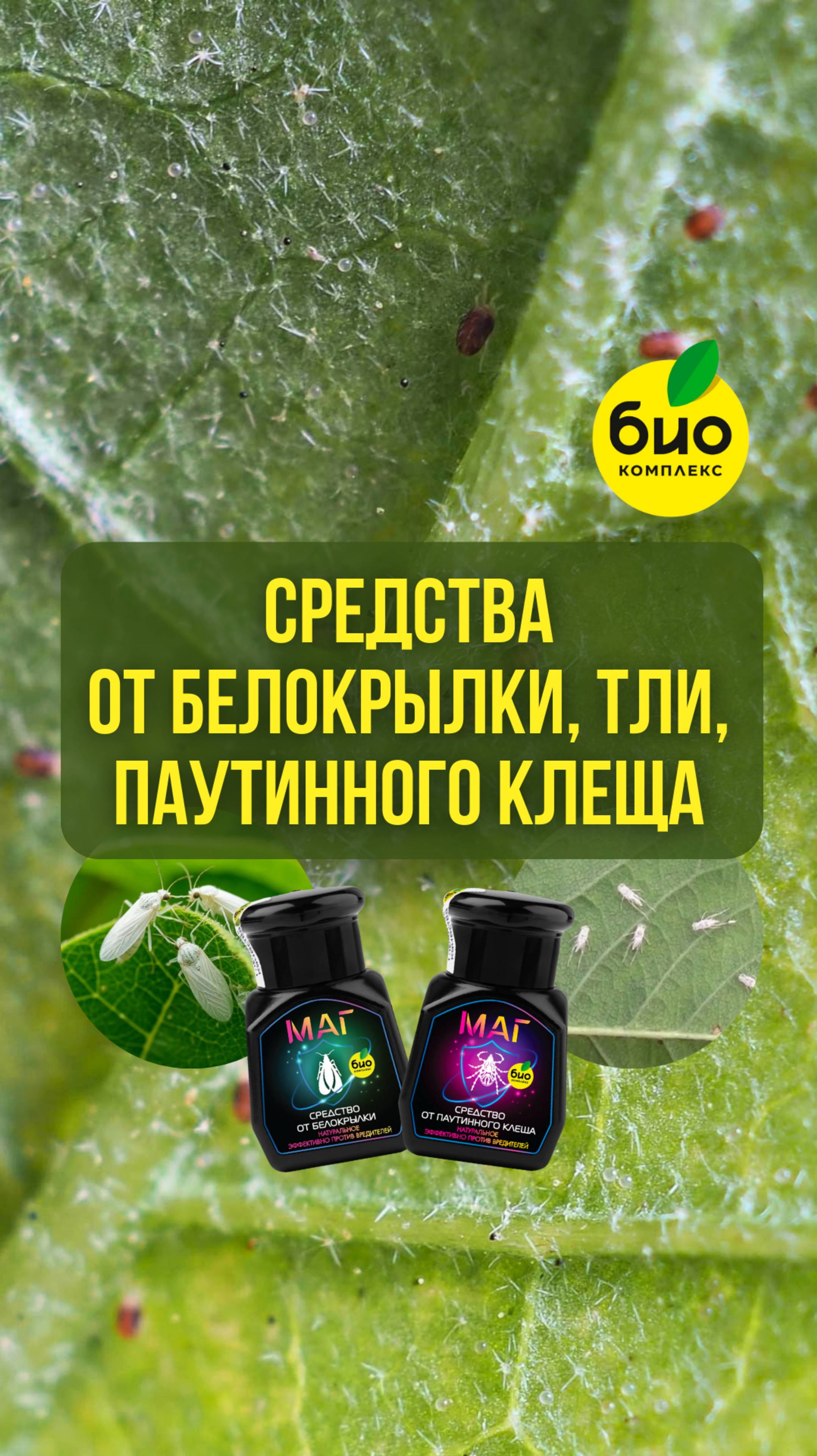 Средства от белокрылки тли паутинного клеща и мошек