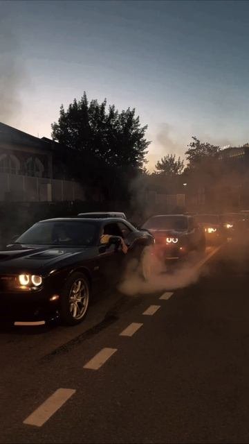 Petrolheadperformance