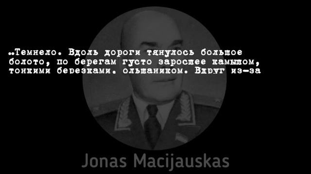 Литовцы воевавшие за СССР в ВОВ | 29-й Литовский территориальный стрелковый корпус РККА