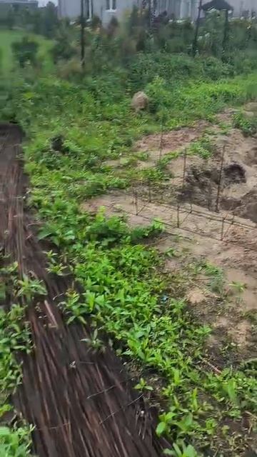 Пригласили принять дом🤦. Эех, если бы был технадзор, то принял бы дом, а не 👀.