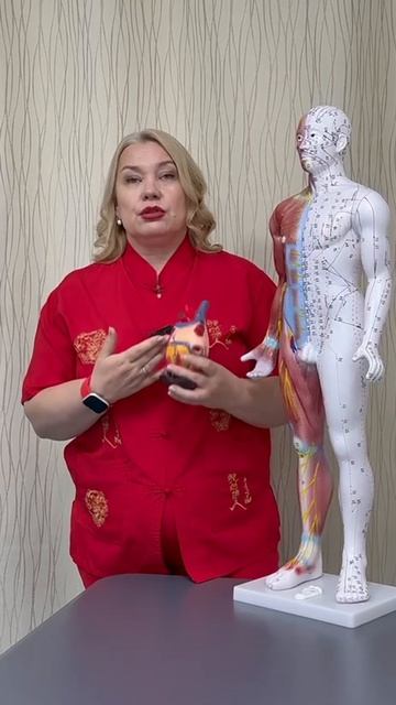 Органы, исследования, иссекающие ресурсы.