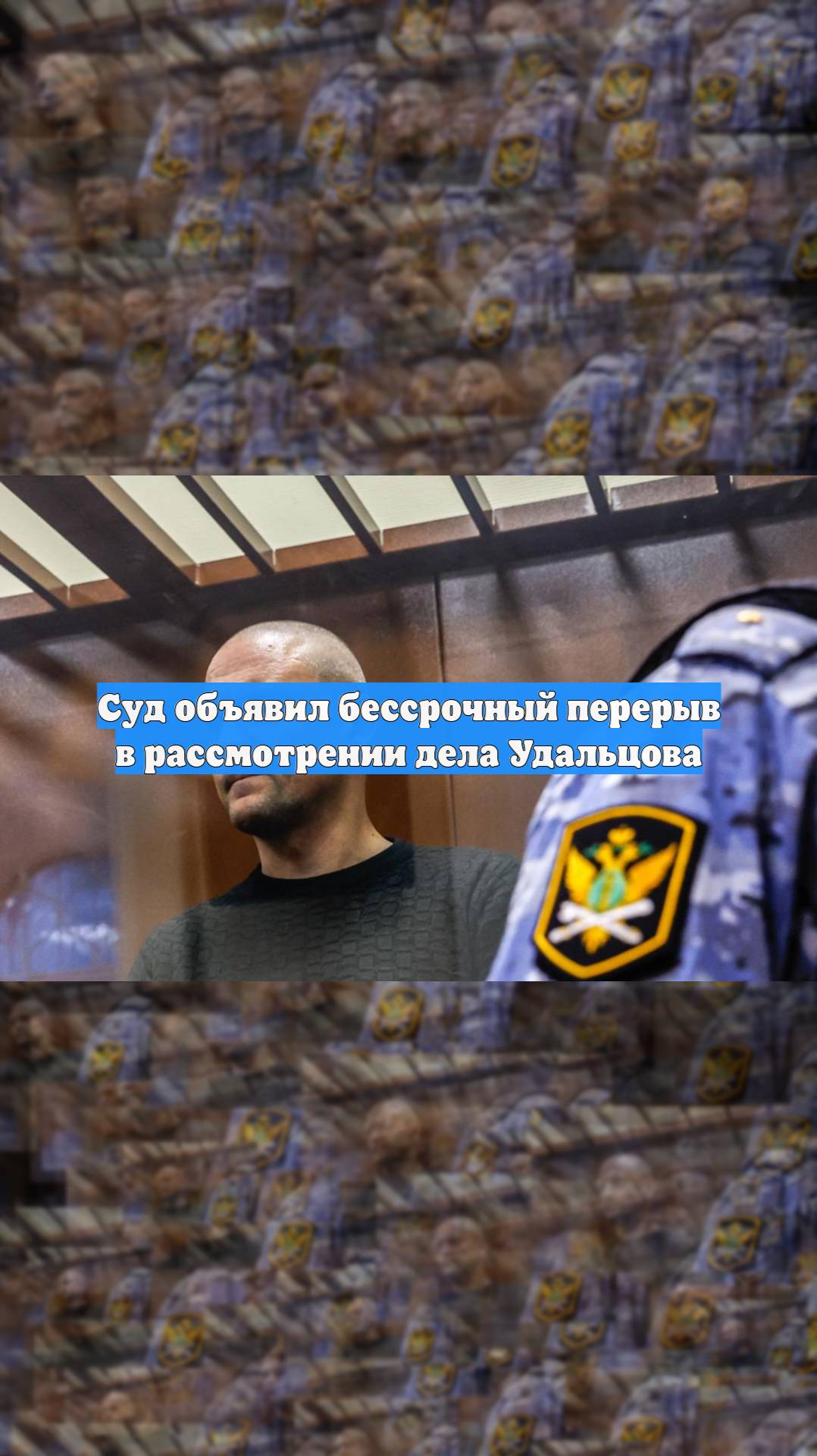Суд объявил бессрочный перерыв в рассмотрении дела Удальцова