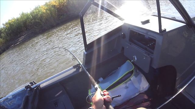 ТОМСКАЯ ОБЛ / ЩУКА ОКУНЬ / ТРОЛИНГ /ВОБЛЕР / ОТЦЕП ПОМОГАЕТ