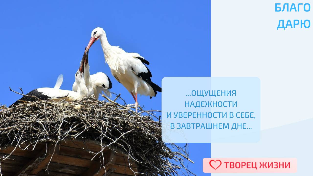 Благодарю за уют в доме!