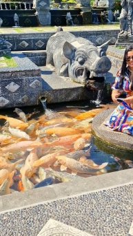 Балийские кабанчики #бали