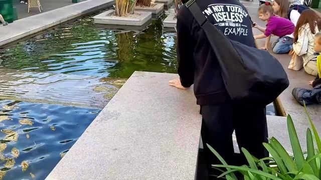 Вечный огонь у Могилы Неизвестного Солдата (в Александровском саду) до станции метро Охотный ряд.