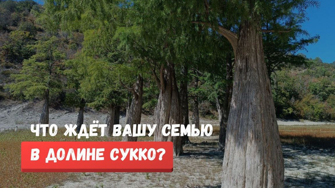 Что ждёт вашу семью в долине Сукко?