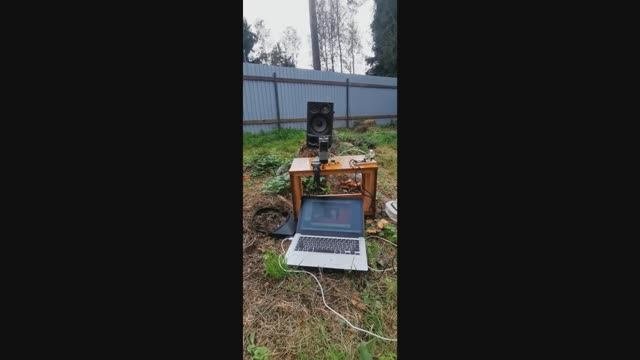 Тест колонок Sony на природе и в комнате.