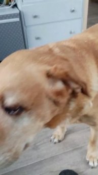 Марик, Буся и Лариска КО МНЕ!!!!