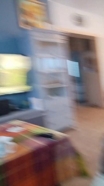 Марик смотрит телевизор