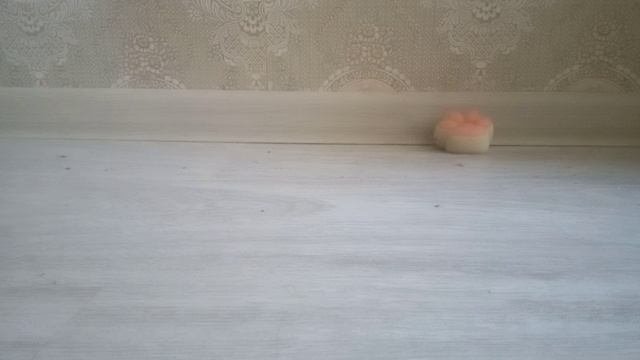 таба лапка