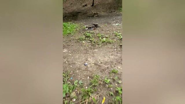 Гуляем по Магнишохтанскому парку