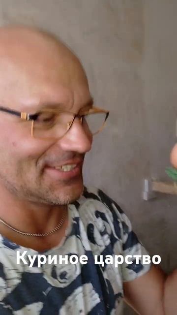 Сюрприз от курочки!)