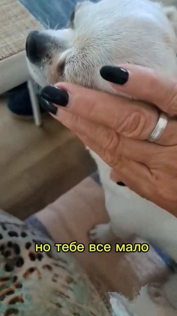 когда ты по жизни чих, а по характеру хуа хуа