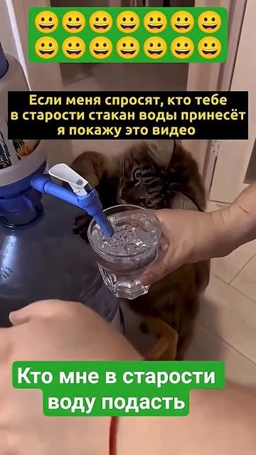 Как мне кот воду на берает юмористические момент друзья врекомендации юмор смешнойшортс