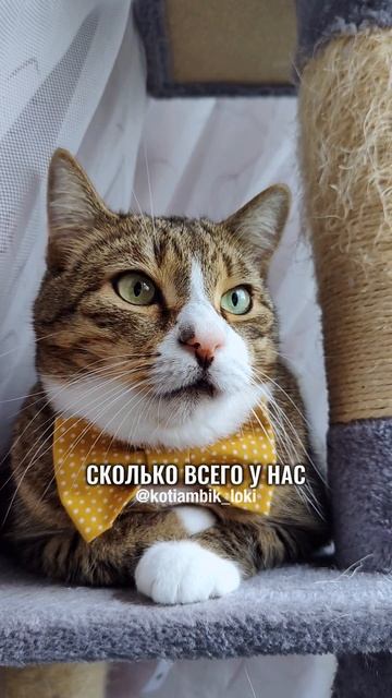 Задачка по математике😅