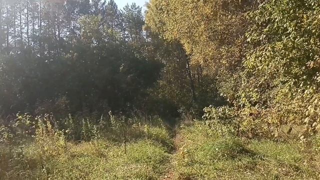 лето запоздалое