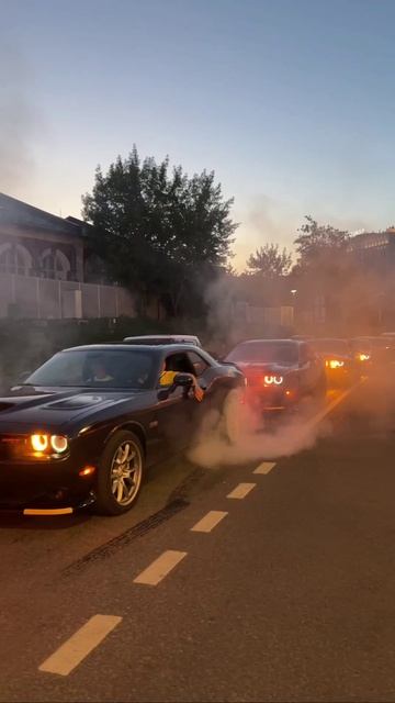 Petrolheadperformance