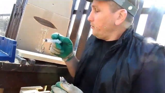 Продолжаем лечить курицу. (2020 г.)