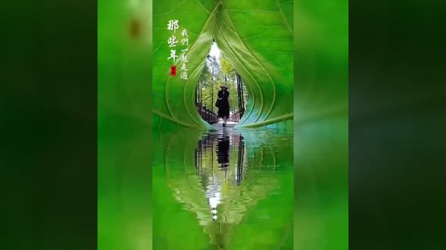 Видео от МЭН - Мне Это Нравится